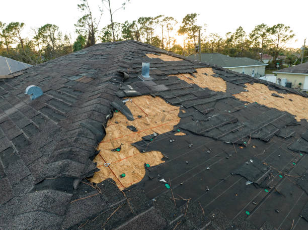 Best Green or Eco-Friendly Roofing Solutions  in Fairmount, IN